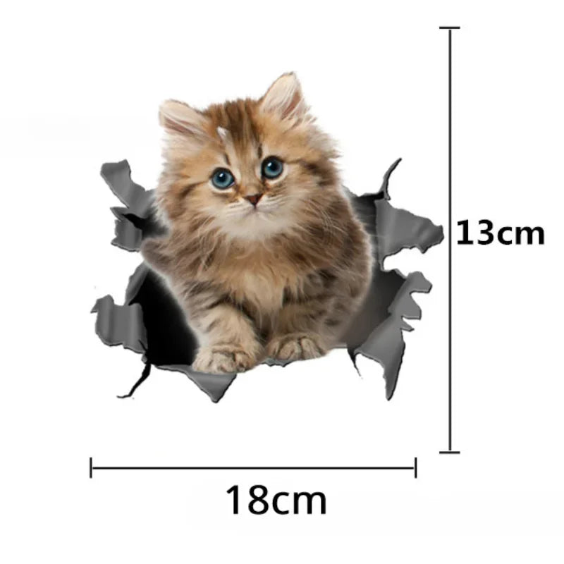 😺 3D Cat Car Sticker – Realistic Peeking Kitty Decal 🐾🚘