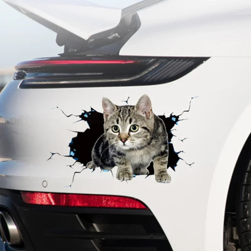 😺 3D Cat Car Sticker – Realistic Peeking Kitty Decal 🐾🚘